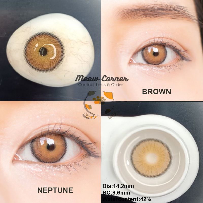 lens neptune mẫu tây tròng nhỏ