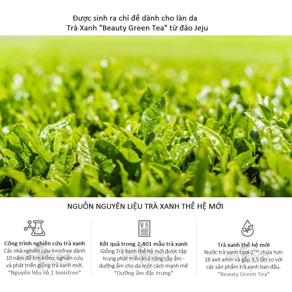 Nước Tẩy Trang Trà Xanh Cho Da Dầu Mụn Innisfree Green Tea Cleansing Water 300ml