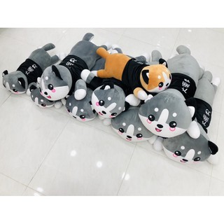 Mèo husky gối ôm