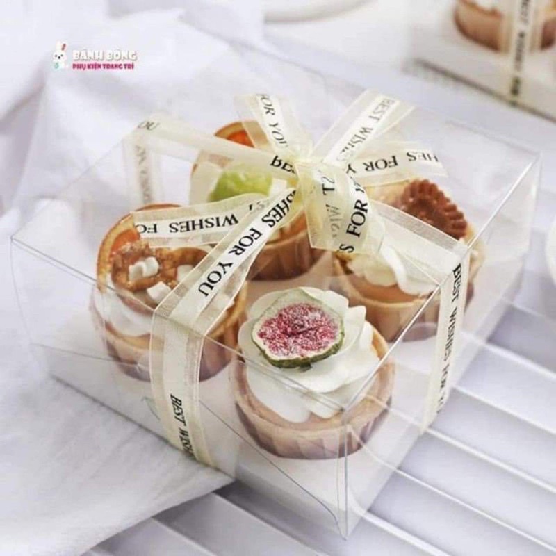 Hộp mica nhựa đựng bánh Cupcake 4,6 bánh cao 10cm