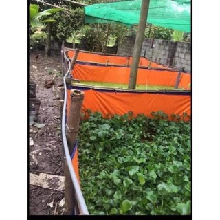 BỂ BẠT NUÔI CÁ, LƯƠN, ỐC....