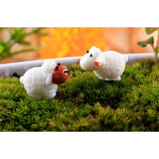 [Tiểu Cảnh] Cừu Lông Xù Đáng Yêu - Phụ Kiện Trang Trí Tiểu Cảnh Sen Đá/Bonsai, Terrarium