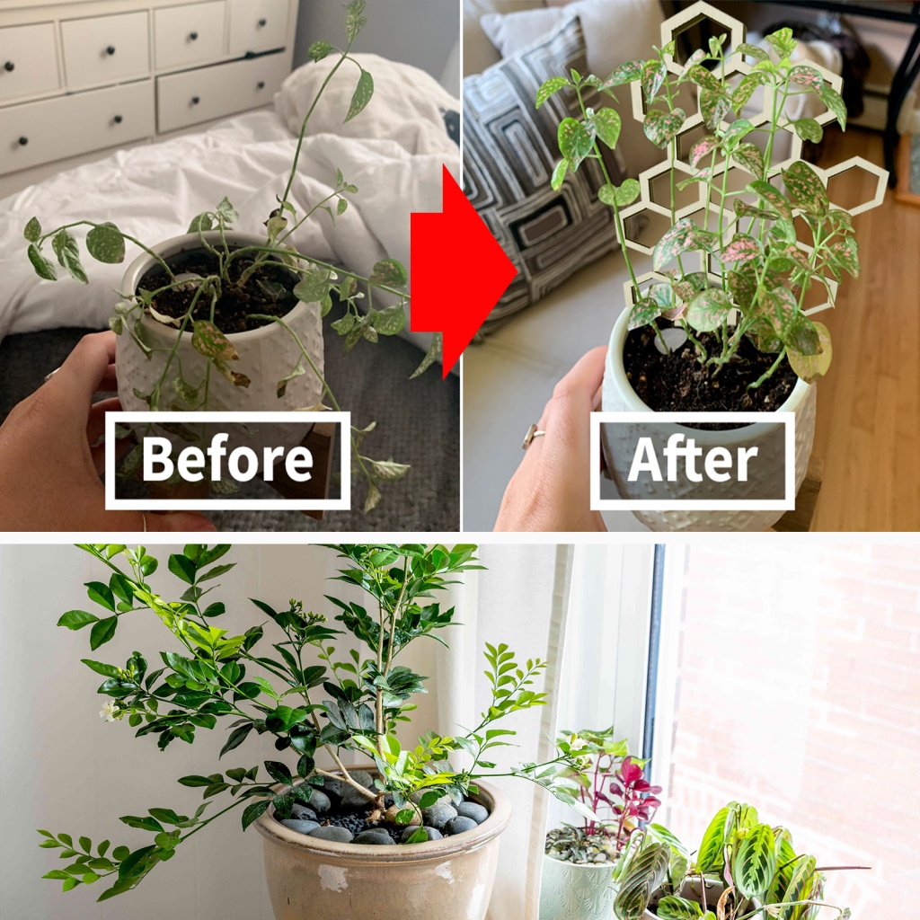 Bộ 3 Giá Đỡ Chậu Hoa Bằng Gỗ Tiện Dụng