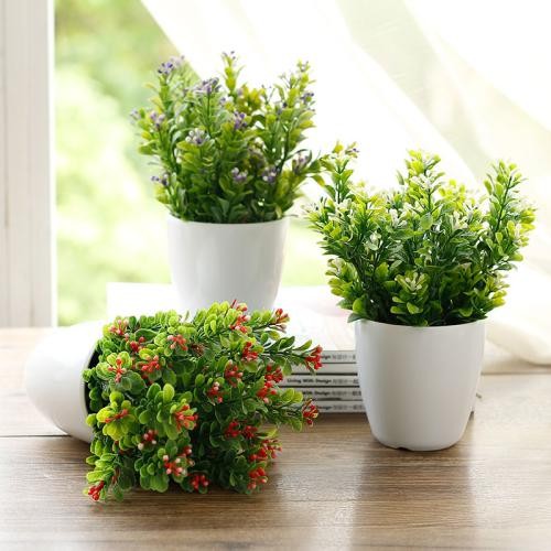 Extreme Home And Living