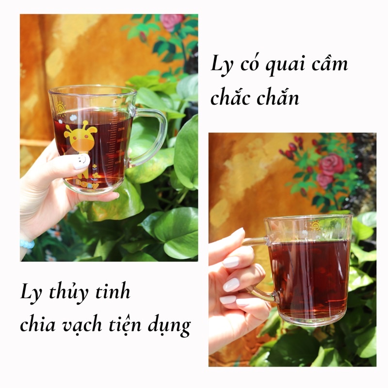 [TẶNG QUÀ Q3] LY THUỶ TINH có vạch chia - dung tích 350ml, Ly thuỷ tinh có nắp đậy - phù hợp với tất cả các thứ uống