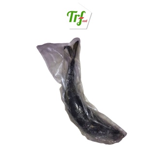 Cá nục Marucho cá thu đao nhập khẩu Nhật Bản Truefood 700g/con