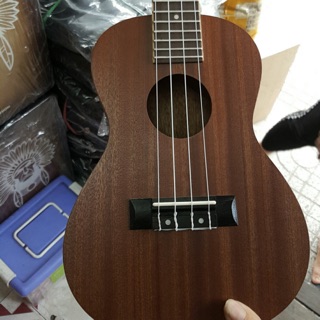 Đàn ukulele gỗ size concert