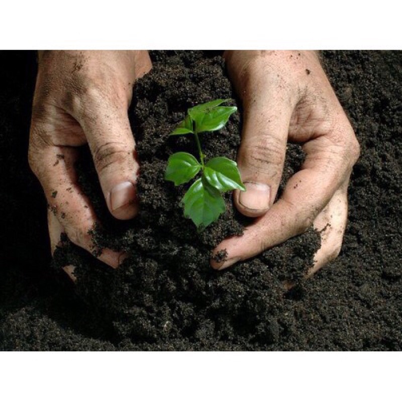 1 bao Đất Sạch Tribat trồng rau sạch, trồng hoa, 20dm3,hàng sẵn kho