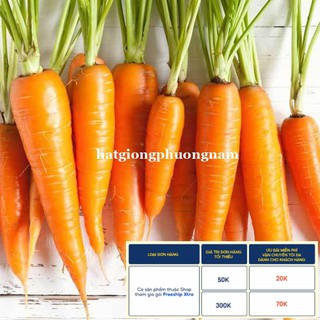 3GR - HẠT GIỐNG CÀ RỐT F1
