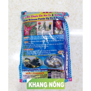 Phân Bón Cây Sứ Và Xương Rồng Dạng Tan Chậm HP 06