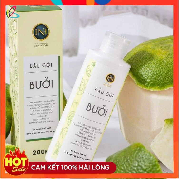 Dầu gội bưởi Nga Hoàng ( Maccadin 330ml ) -Dầu gội bưởi ngăn rụng tóc, hết gàu, hết ngứa, phục hồi chân tóc yếu, hư tổn