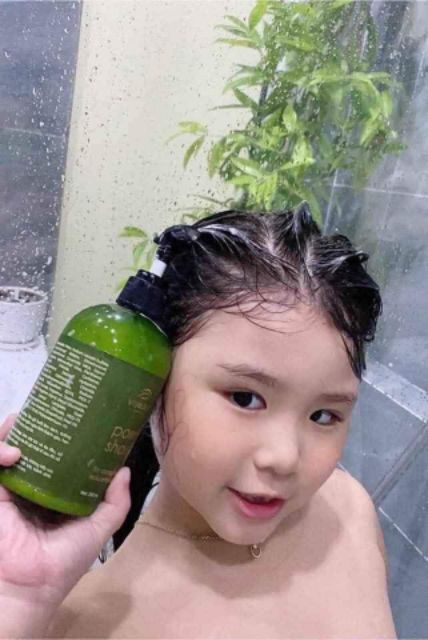 Dầu Gội Bưởi Pomelo Shampoo Vijully