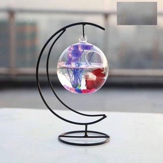 Bể cá cảnh Mini để bàn