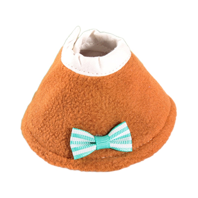 Vòng Cổ Bằng Lông Vũ Hình Nón Phục Hồi Chức Năng Cho Chim Vẹt