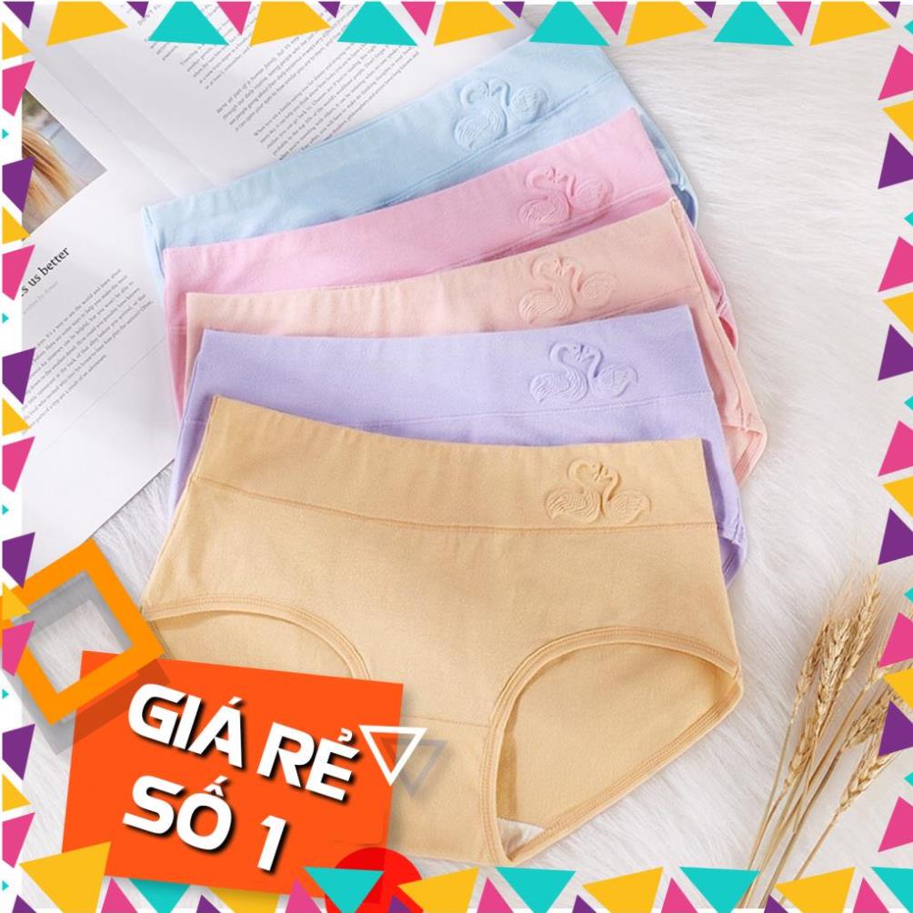 Lô 10 quần lót cotton chất dày mịn; nâng mông; ôm khít biểu tượng đôi chim thiên nga; size L _ HOT