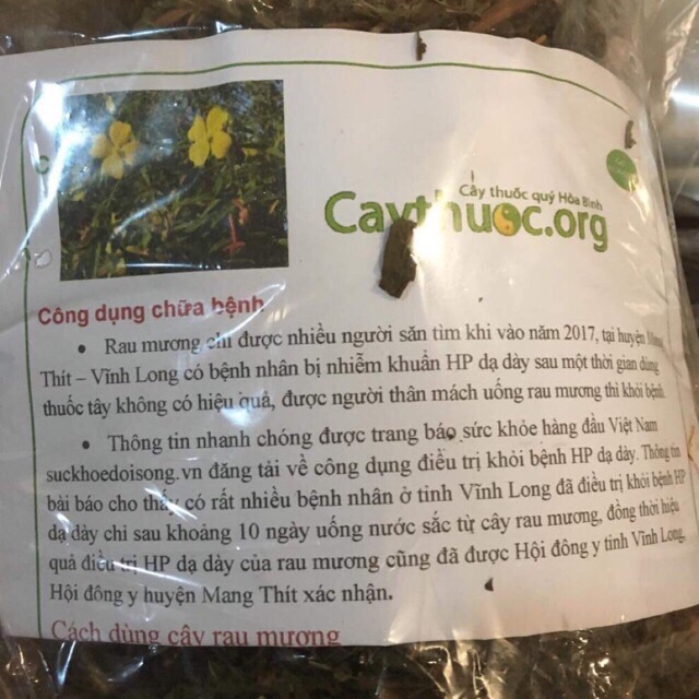 Cây rau mương chữa dạ dày 1 kg