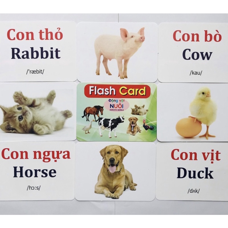 Thẻ học thông minh 19 chủ đề gồm 260 thẻ 12*16