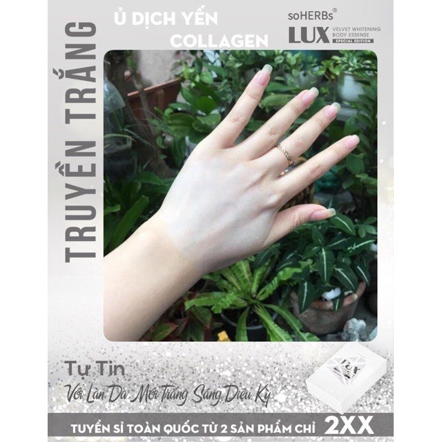 Ủ Dịch Yến Tươi Collagen Soherbs - Ủ Trắng Lux Siêu Trắng 1 hộp 3 gói | BigBuy360 - bigbuy360.vn