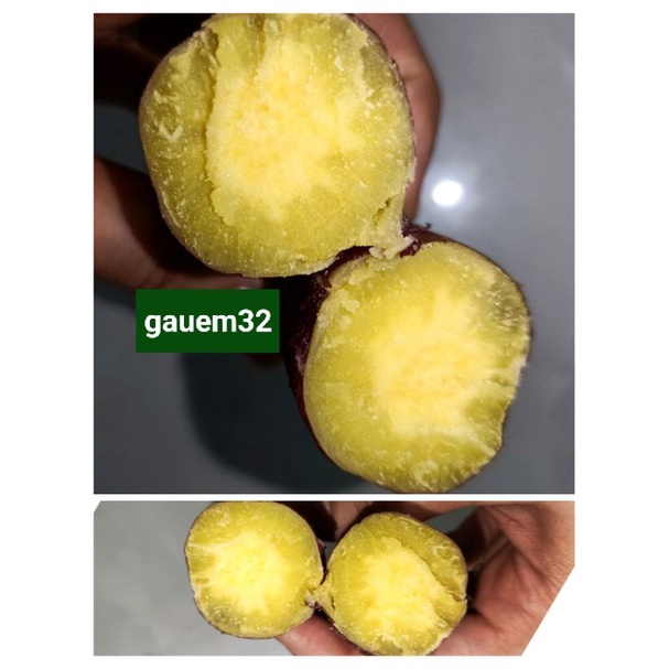 Khoai lang Nhật ruột vàng dẻo thơm 1Kg