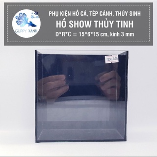 Hồ Show cá Betta & Guppy (Dấu keo) - Bể Cá mini