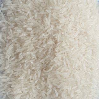 Gạo sữa NPV