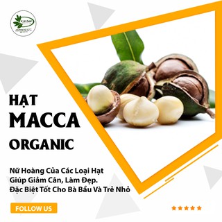 500g hạt macca organic thượng hạng cao cấp tốt cho sức khỏe