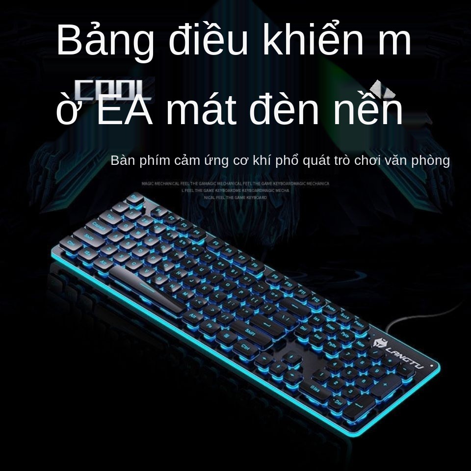 Langtu bàn phím im lặng sô cô la trò chơi có dây thao tác và chuột bộ máy tính xách tay phát sáng văn phòng | BigBuy360 - bigbuy360.vn