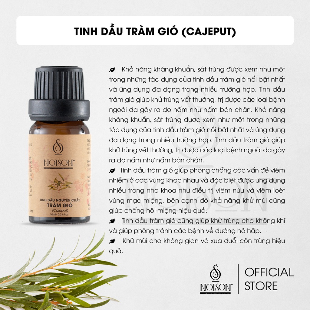 [BÌNH 500ML] Tinh dầu Tràm Gió Noison | Cajeput Essential Oil | Nhập khẩu Ấn Độ