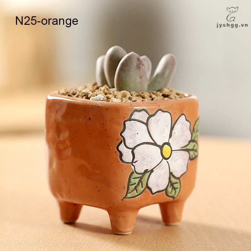 Chậu Sứ Trồng Cây Nhỏ Gọn Tiện Lợi