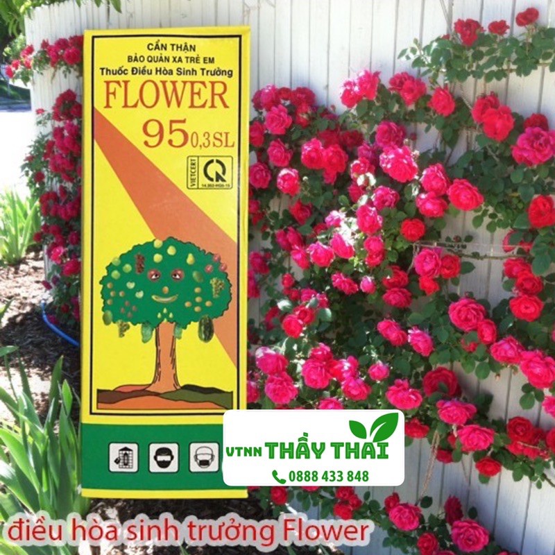 F95 100ml - Flower 95 0.3SL Kích thích sinh trưởng Kích thích ra hoa, tăng đậu quả Lúa – Xoài Sầu riêng