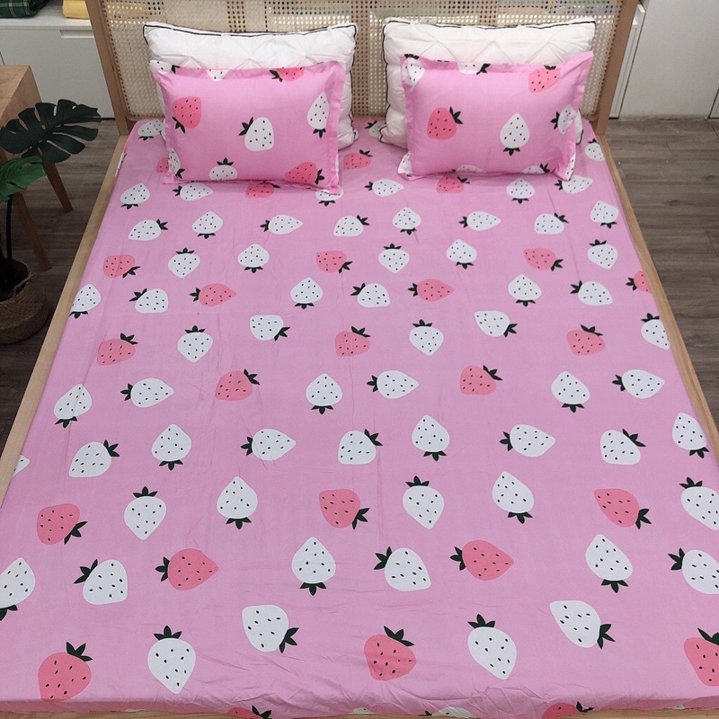 Bộ ga chun và 2 vỏ gối cotton poly mềm mịn được chọn mẫu