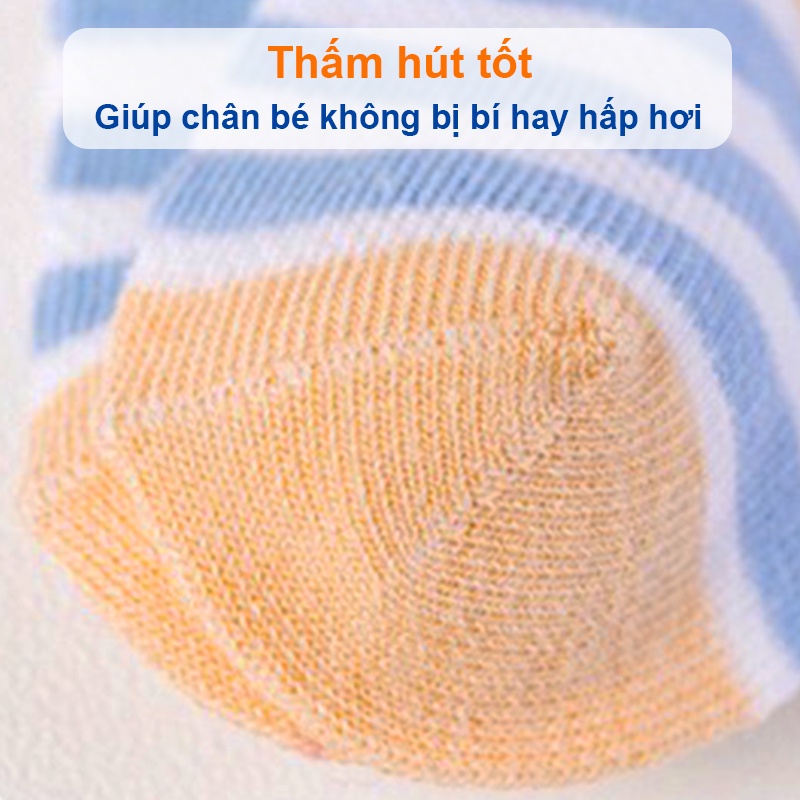Tất cho bé gái và bé trai hình thú Baby-S, Set 5 đôi tất lưới cho bé 0-2 tuổi chất cotton co giãn – ST002