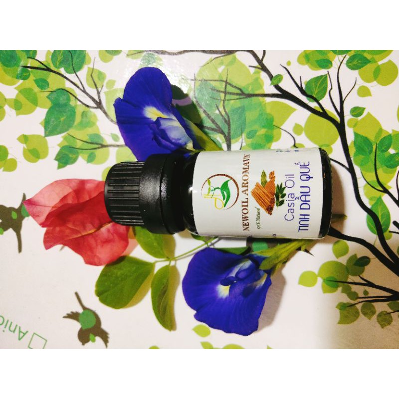 Tinh dầu quế Cinnamon Essential Oil, xuất sứ thiên nhiên không pha tạp chất, có giấy kiểm định COA