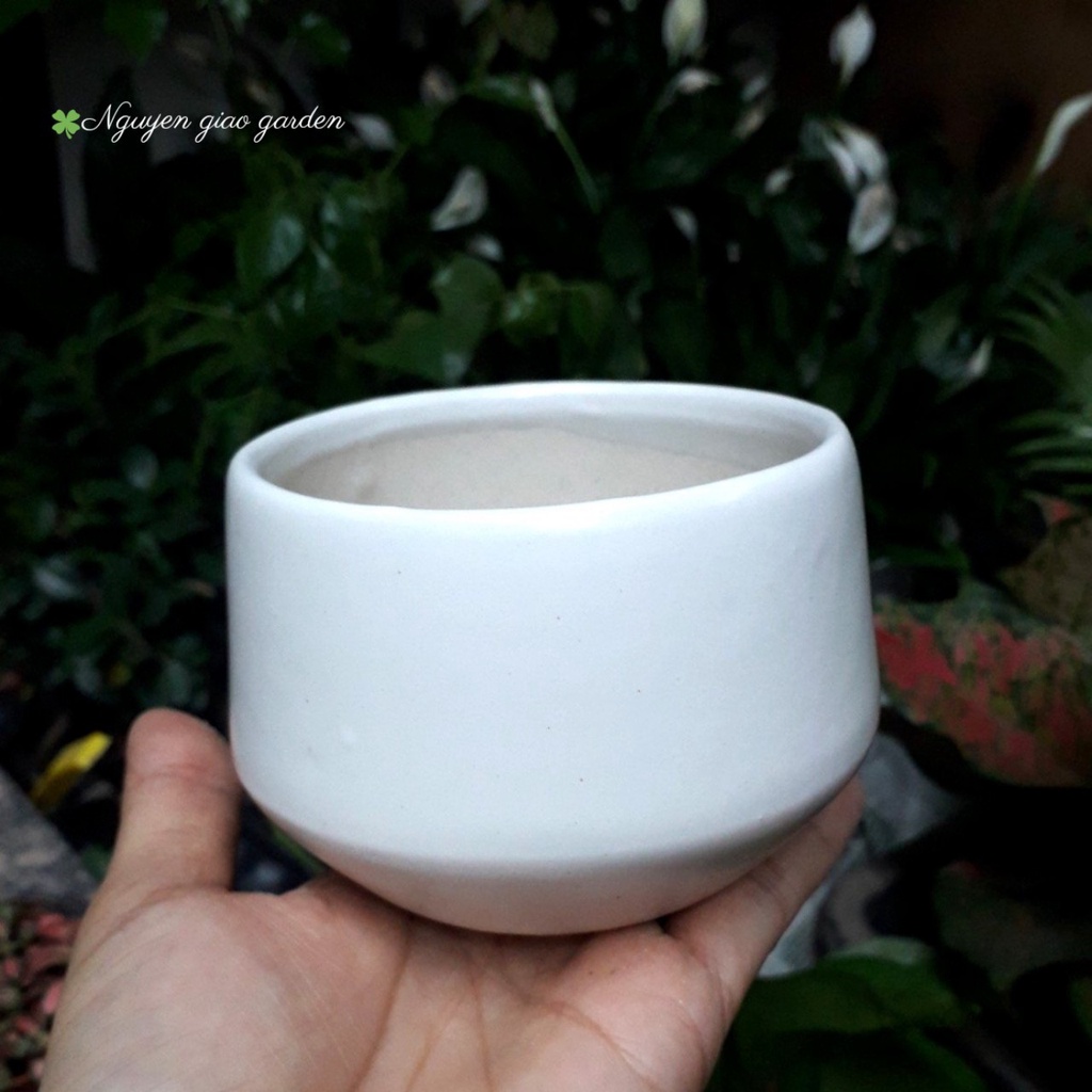 Chậu sứ bát tràng trồng sen đá, xương rồng, cây cảnh nhỏ