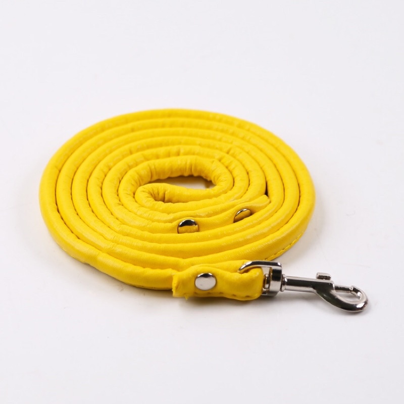 DÂY DẪN THÚ CƯNG LOẠI DA 1m2