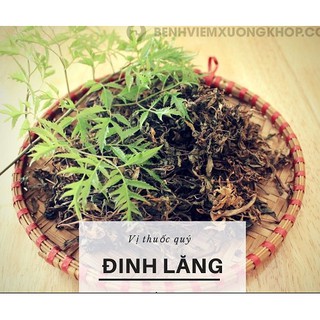 Lá đinh lăng khô