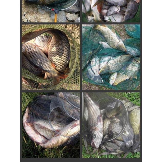 [Siêu nhạy] Bình xịt dụ cá Fish Bait, chất dụ mồi câu siêu hút cá, dung dịch tạo mùi thu hút cả đàn cá hàng nhập từ mỹ