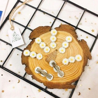 Set 2 kẹp tóc hoa cúc họa mi