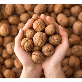 500GRAM QUẢ CHÓ VÀNG CHUẨN MỸ VỤ MỚI