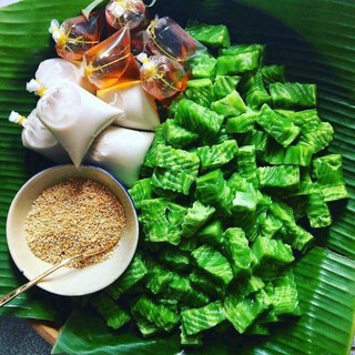 CÂY GIỐNG LÁ NẾP (LÁ DỨA) THƠM