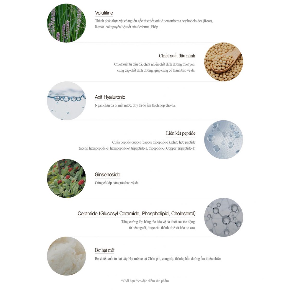 Tinh Chất Dưỡng Da Làm Trắng, Giảm Nhăn CareCella Bubble TocToc Serum 120ml