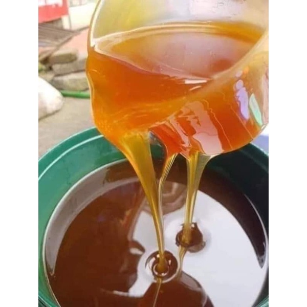 Mật ong Hoa Cà phê Daklak Nguyên chất 100% Đủ lít