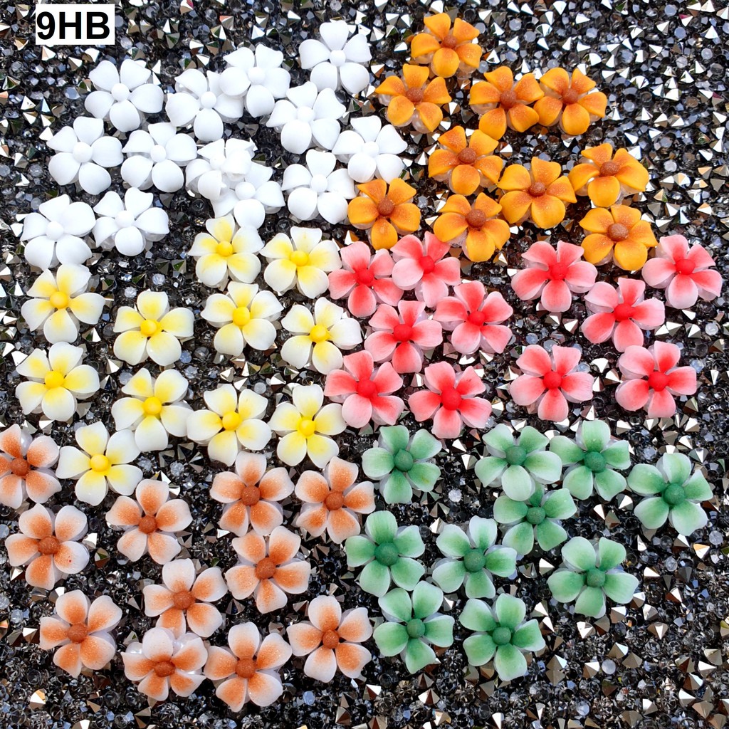 Hoa Sứ 5 cánh - Hoa  Bột Đính Móng 9HB