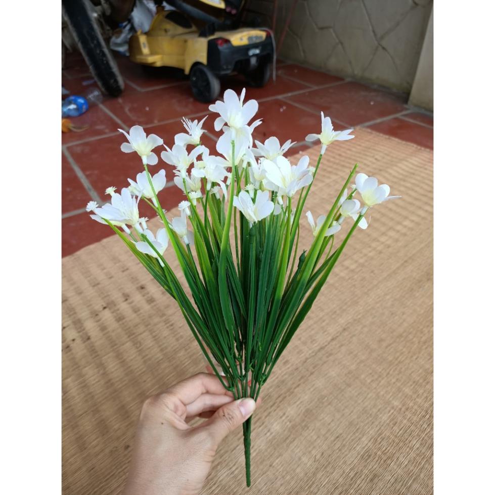 Cụm hoa thuỷ tiên điểm cực sang, giao hàng siêu nhanh