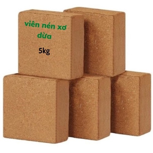 5KG/1 Viên Nén Xơ Dừa, Xơ Dừa Viên Nén Đã Qua Xử Lý Thích Hợp Trồng Các Loại Rau, Hoa Tại Nhà