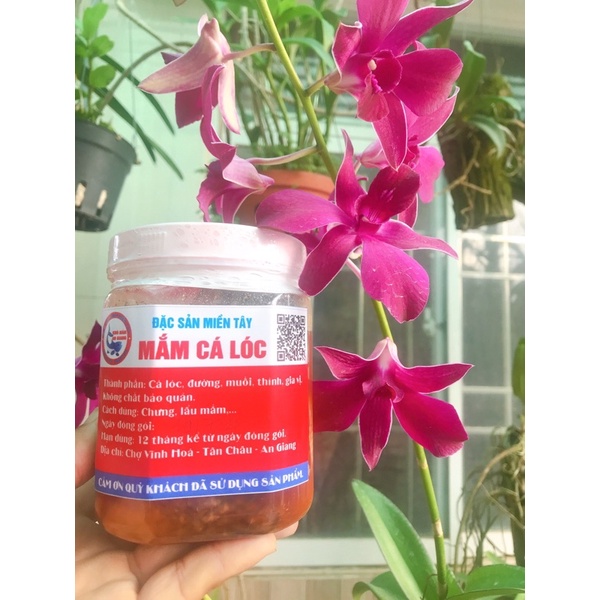 mắm cá lóc đồng chuẩn vị châu đốc hộp 800gram | BigBuy360 - bigbuy360.vn