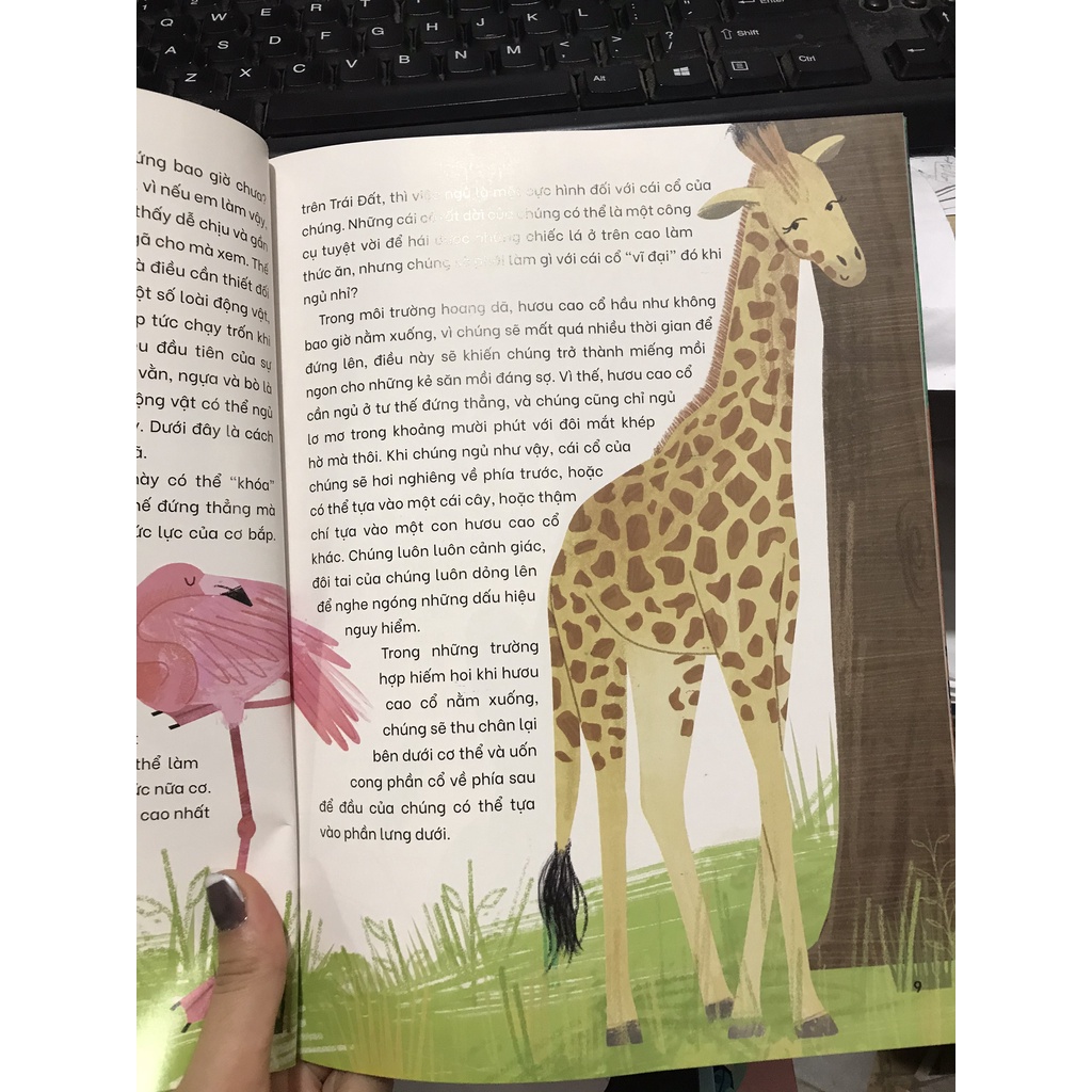 Sách - Những bí ẩn của màn đêm : Những loài vật đáng kinh ngạc