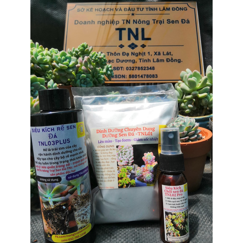 ❤️siêu Kích rễ dưỡng rễ sen đá TNL03plus chuyên sen đá xương rồng 200ml