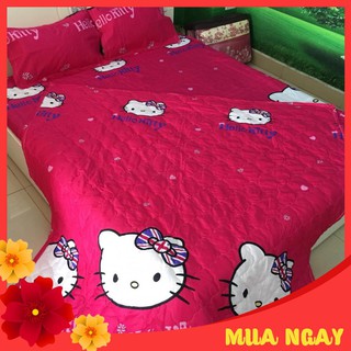 Bộ Chăn Ga Vỏ Gối 5 MÓn ( 1 Drap + 2 Vỏ Gối Nằm + 1 Chăn Hè + 1 Vỏ Gối Ôm )