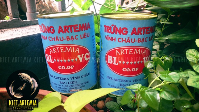 Trứng Artemia Vĩnh Châu Cao Cấp